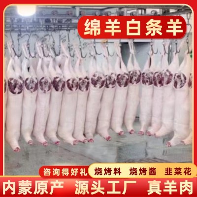 大白条羊绵羊带皮45斤内蒙全羊整只羊肉新鲜白条羊现杀羊烤全羊肉