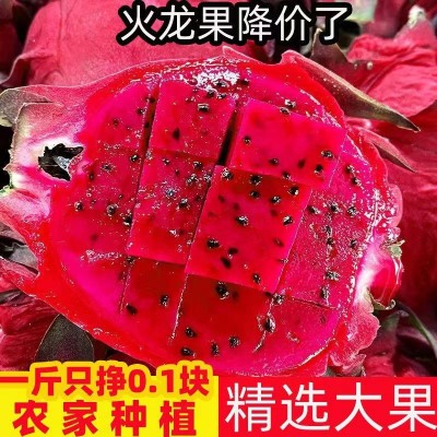（爆甜）红心火龙果新鲜现摘应季水果广西正宗金都一号红肉火龙果图3