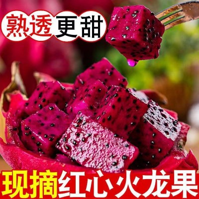（爆甜）红心火龙果新鲜现摘应季水果广西正宗金都一号红肉火龙果图2