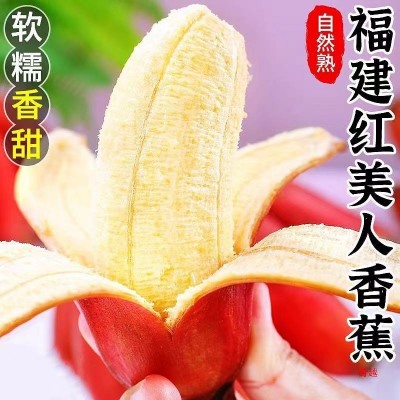 （新鲜采摘）应季红美人香蕉新鲜红皮香蕉现摘产地直发薄皮水果图2