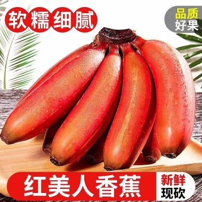 （新鲜采摘）应季红美人香蕉新鲜红皮香蕉现摘产地直发薄皮水果图3