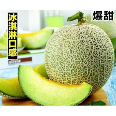 网纹瓜多汁当季清甜蜜瓜冰淇淋甜瓜新鲜哈密瓜专属于农场直发包邮