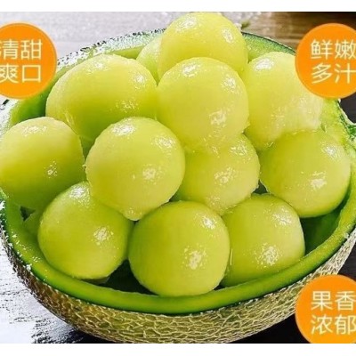 网纹瓜多汁当季清甜蜜瓜冰淇淋甜瓜新鲜哈密瓜专属于农场直发包邮图4