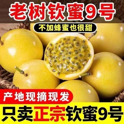 广西钦蜜9号黄金百香果5斤新鲜水果当季百香果果酱原浆艺一件包邮图3