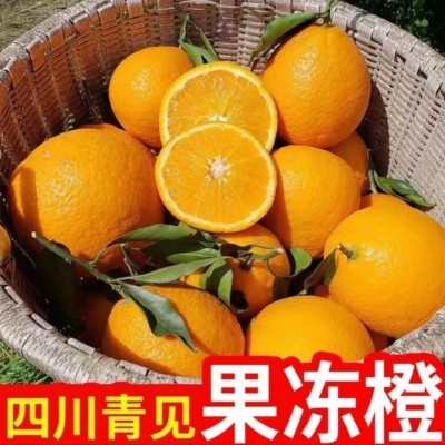 四川眉山青见果冻橙图3