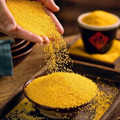 蔚县黄小米2斤/袋蔚州贡米新黄小米粥小米饭粗粮米张家口特产批发图3