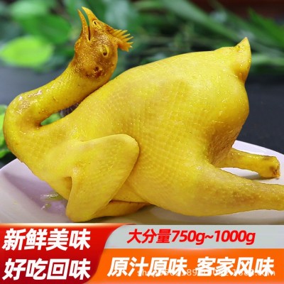 广东特产盐焗鸡整只真空包装常温保存开袋即食网红爆款工厂直发