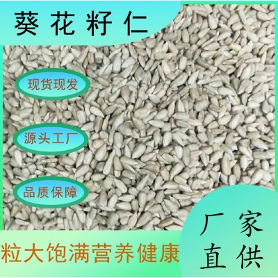 批发原味生葵花籽仁葵瓜子仁榨油葵花籽瓜子仁生瓜仁