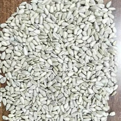 批发原味生葵花籽仁葵瓜子仁榨油葵花籽瓜子仁生瓜仁图2