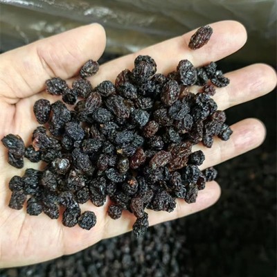 提子干葡萄干黑加仑葡萄干吐鲁番火焰提子干葡萄干散装批发图2