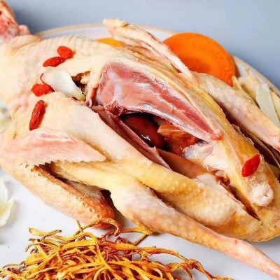 鸽子肉顺丰速十只现杀乳鸽嫩鸽老鸽滋补富硒乳鸽粮喂养新鲜煲汤图4