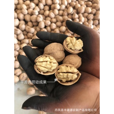 厂家出口核桃仁厂家直供核桃仁出口核桃可做商检可供贸易公司图3