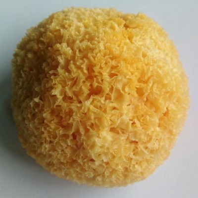 古田银耳白木耳丑耳干货 质稠胶糯不熏硫丑耳250g农产品厂家批发图3