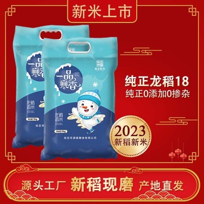 纯正龙稻18米新米50斤黑龙江东北大米包邮真空米砖长粒粳米