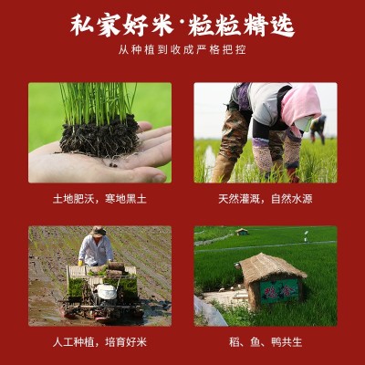 五常稻花香大米5kg双层真空装 品种东北正宗稻花香2号图2