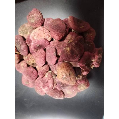 南阳深山土特产挑选小红菇500g现货批发不开伞红菇图2