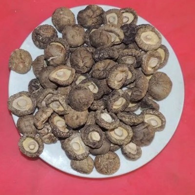 脱水香菇脚香菇丁香菇3-3.5香菇图2