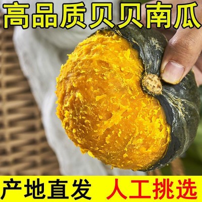 【新鲜贝贝小南瓜】板栗味婴儿辅食老南瓜粉糯香甜代发一件包邮图2