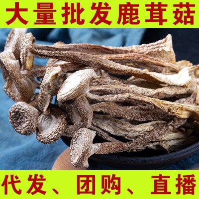 鹿茸菇干货500g鹿茸菌云南特产食用菌菇煲汤料香菇批发代发图3