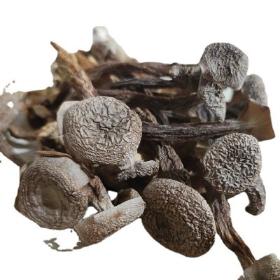 鹿茸菇干货500g鹿茸菌云南特产食用菌菇煲汤料香菇批发代发图5