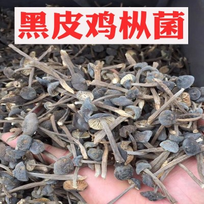 黑皮鸡枞菌干货500g包邮批发云南特产鸡棕蘑菇食用菌散装鸡枞菌