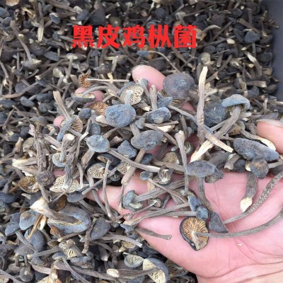 黑皮鸡枞菌干货500g包邮批发云南特产鸡棕蘑菇食用菌散装鸡枞菌图5