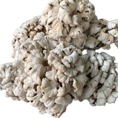 云南食用菌 雪莲菌白参菌1kg 雪莲整朵规格品质齐全厂家走量批发图4
