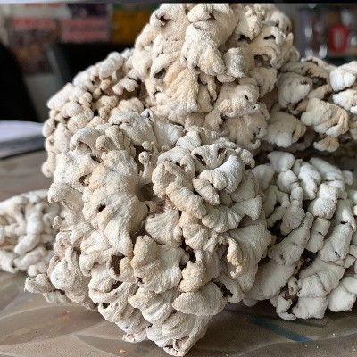 云南食用菌 雪莲菌白参菌1kg 雪莲整朵规格品质齐全厂家走量批发图3