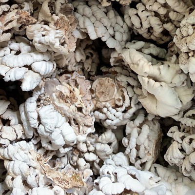 云南食用菌 雪莲菌白参菌1kg 雪莲整朵规格品质齐全厂家走量批发图5