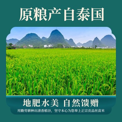 泰那兰贡品丝苗米20斤原粮进口泰国香米长粒香大米低脂生态猫牙米图2