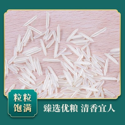 泰那兰贡品丝苗米20斤原粮进口泰国香米长粒香大米低脂生态猫牙米图3
