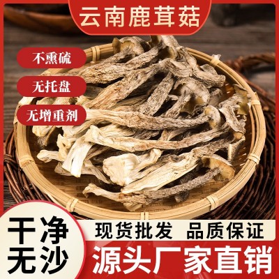 鹿茸菇干货鹿茸菌食用蘑菇厂家批发云南非野生脆脆菇火锅煲汤食材
