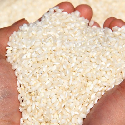 桂朝大米糕米线肠粉米线专用大米早稻米豆腐贵朝米商用大米50kg装图3