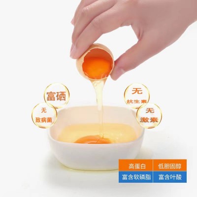 农家 富硒无抗 现捡新鲜土柴溏心可生食鸡蛋优选礼盒鸡蛋图2