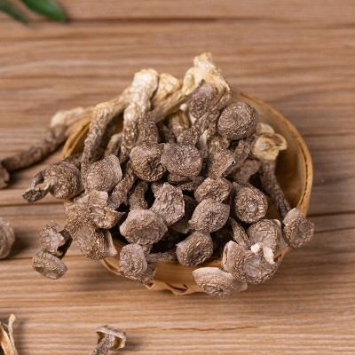云南特产鹿茸菇干货200g包邮特级鹿茸菌无硫新鲜古田脆脆菇蘑姑干图2