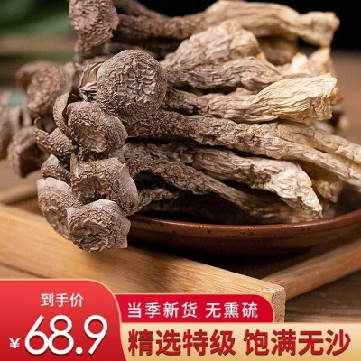 云南特产鹿茸菇干货200g包邮特级鹿茸菌无硫新鲜古田脆脆菇蘑姑干