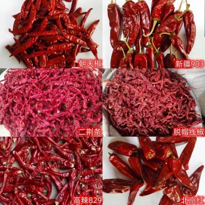 现货批发新疆辣椒干朝天椒线椒二荆条干辣椒北京红益都辣椒商用图2