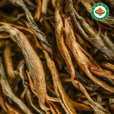 云南滇红秧塔高山有机红茶200克礼罐装蜜香滇红茶现货批发图3