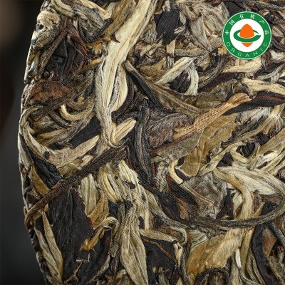 春云南秧塔白茶饼月光白高山有机白茶蜜香鲜爽357克茶饼批发图3