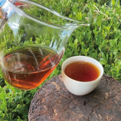 延初茶业 云南普洱茶熟茶357克老班章熟茶大叶茶饼茶厂家直接发货图4
