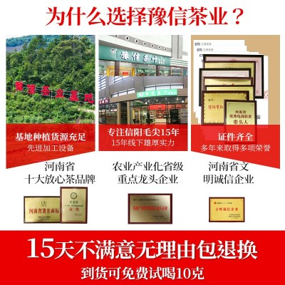 豫信 红茶 信阳毛尖茶叶口粮茶 信阳红 源产地厂家图5