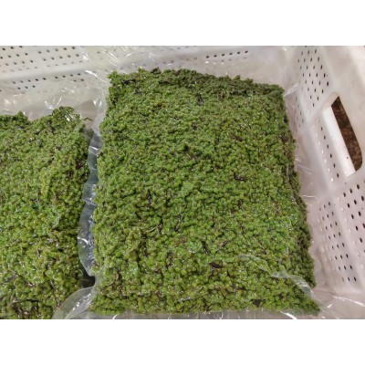 餐馆商用新鲜青花椒四川特麻特辣青花椒粒藤椒麻椒重庆江津九叶青图5