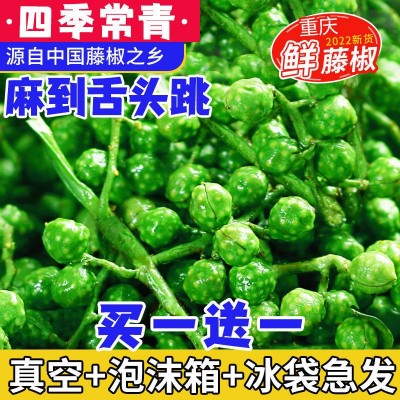 重庆保鲜青花椒350g新鲜青花椒鲜藤椒冷冻鲜花椒麻椒家用商用批发