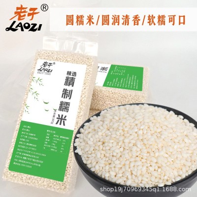 新鲜白糯米厂家批发直销包粽子汤圆馅料五谷杂粮原料圆糯米饭团米图2