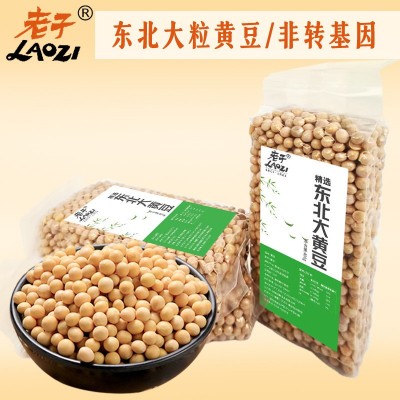 厂家直销东北大豆现货真空装黄豆批发非转基因大粒豆子打豆浆杂粮图3
