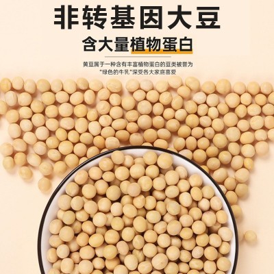 厂家直销东北大豆现货真空装黄豆批发非转基因大粒豆子打豆浆杂粮