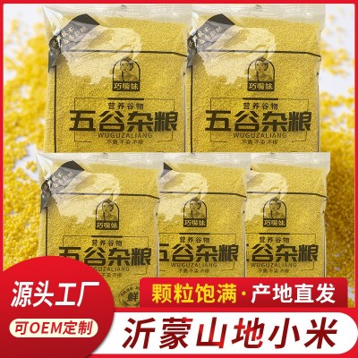 沂蒙小黄米优质小黄米养胃小米粥黄小米五谷杂粮粗粮黄小米农家小米