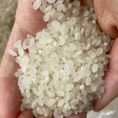 东北大米鲜胚芽米10斤保留大米5公斤粳米谷物米食堂厂家批发图2
