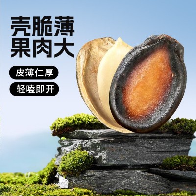 豫小果话梅味西瓜子手抓包批发坚果炒货休闲小零食一件代发图2