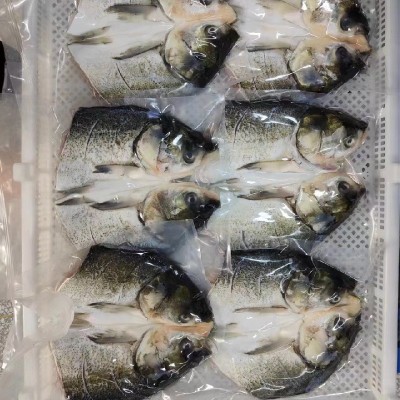 整箱冷冻鲢鱼头剁椒鱼头淡水鱼花鲢活杀净膛商用餐饮酒店半成品图2